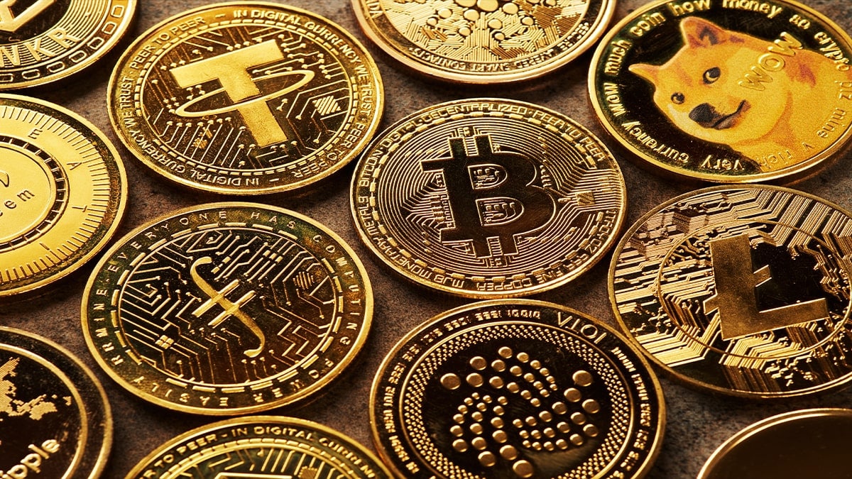 What are the cryptocurrencies with the best profits since their creation?