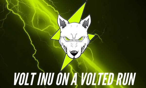 Voltichange Ready to Enhance the Volt Inu Universe